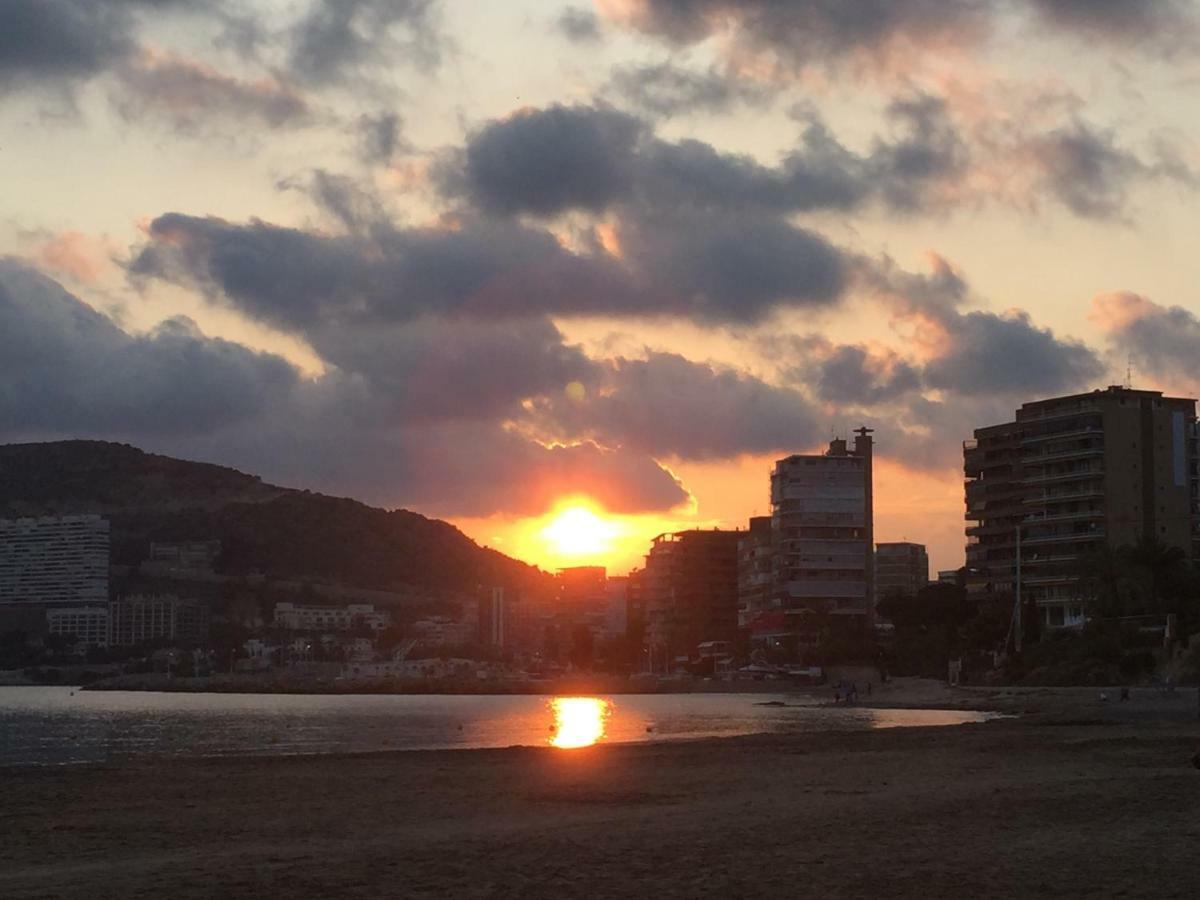 דירות Alicante View מראה חיצוני תמונה